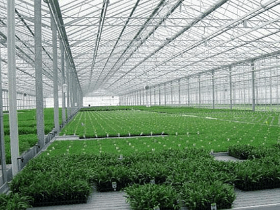 具备哪些温室育苗装备，可加速蔬菜工业现代化历程？