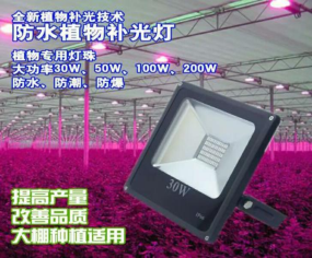 给植物补光的神器-补光灯，避开雷区会更好
