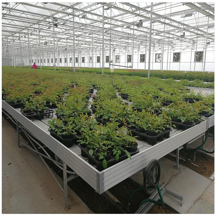 不是什么植物都适用于潮汐苗床的？